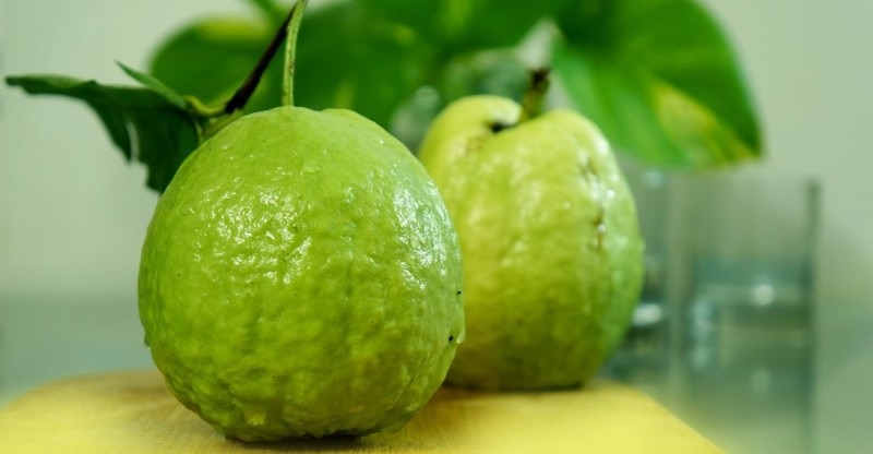 benefits of eating guava